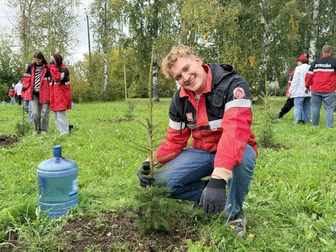 Зелёная карта ЛУКОЙЛа В Пермском крае появилась новая аллея из 35 елей
