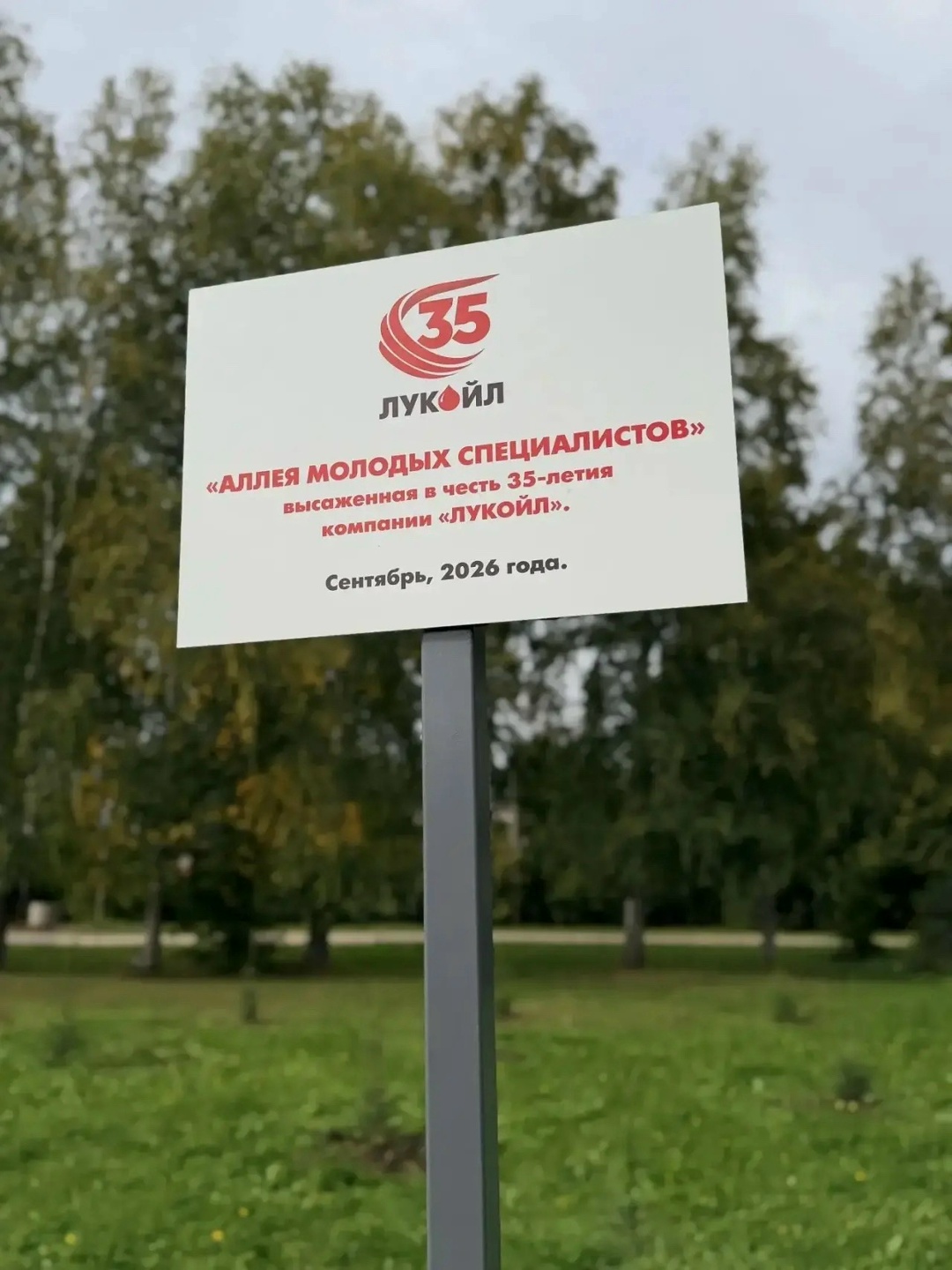 Зелёная карта ЛУКОЙЛа В Пермском крае появилась новая аллея из 35 елей